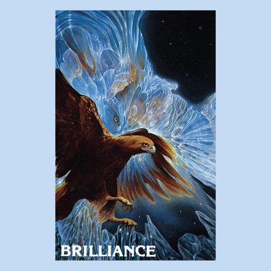 William Wichman - Suzanne Doucet - Brilliance (LP) Isis Music, Dark Entries Vinyl