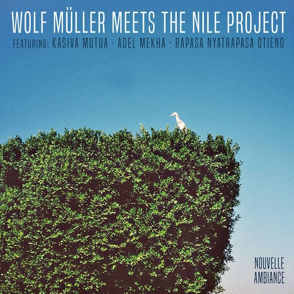 Wolf Müller Meets  The Nile Project Featuring: Kasiva Mutua, Adel Mekha*, Rapasa Nyatrapasa Otieno - Wolf Müller Meets The Nile Project  (12") Nouvelle Ambiance Vinyl